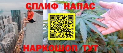 PSILOCYBIN Ставрополь