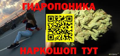 PSILOCYBIN Ставрополь