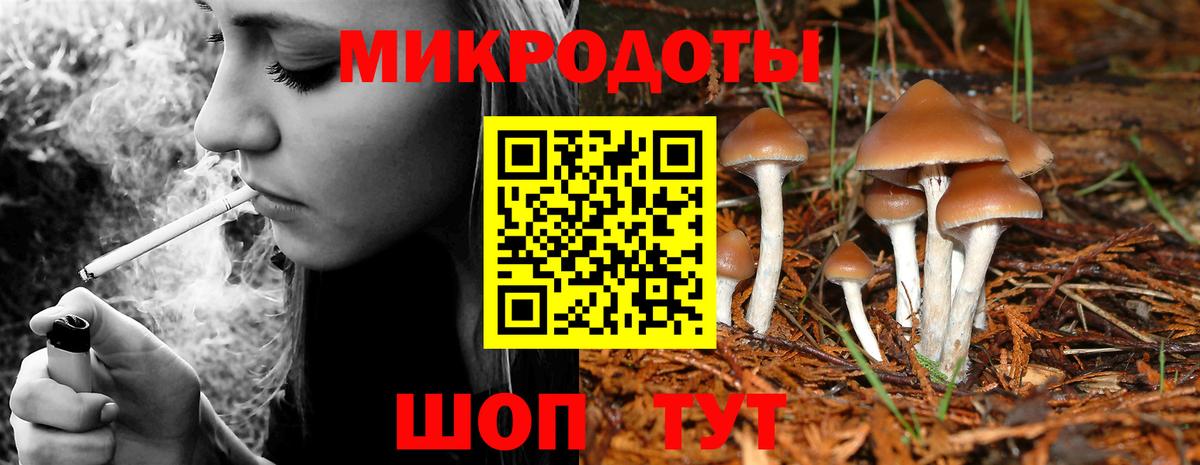 Галлюциногенные грибы прущие грибы Братск